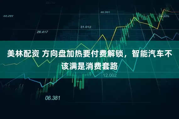 美林配资 方向盘加热要付费解锁，智能汽车不该满是消费套路