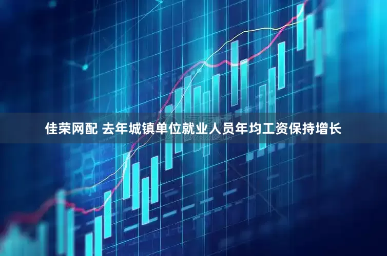 佳荣网配 去年城镇单位就业人员年均工资保持增长