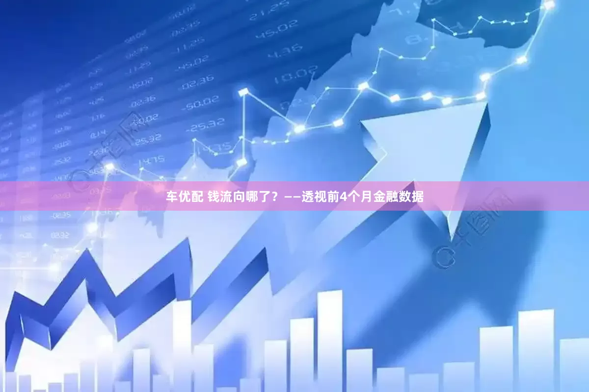 车优配 钱流向哪了？——透视前4个月金融数据