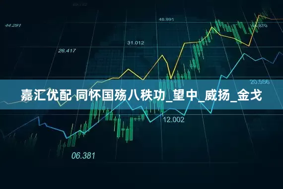 嘉汇优配 同怀国殇八秩功_望中_威扬_金戈